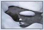 particolare neve 2 particolare neve 2