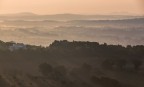 di prima mattina