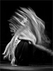 Flamenco Flamenco