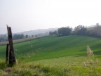 Colli parmensi Colli parmensi