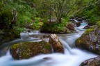 flowing flowing