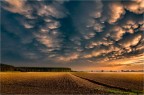 Mammatus clouds