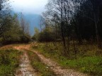 Paesaggio autunnale Paesaggio autunnale