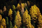 I colori dell'autunno I colori dell'autunno