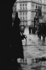 Saber Saber