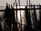 Le reti del Delta Le reti del Delta
