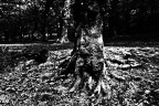 natura contaminata natura contaminata