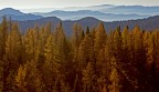 Altopiano di Asiago Altopiano di Asiago