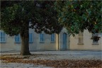 Villa Conti Cicogna Villa Conti Cicogna