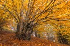 Esplosione di colori Esplosione di colori