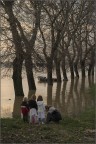 Osservando la piena Osservando la piena