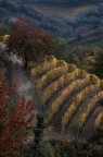 autunno nelle Langhe 4 autunno nelle Langhe 4