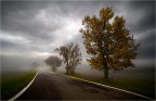 dove va la strada? dove va la strada?