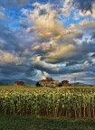 Toscana