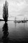 Come d'autunno gli alberi nel lago Come d'autunno gli alberi nel lago