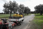 Nord Salento Nord Salento