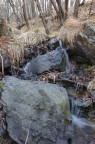 ruscello di bosco... ruscello di bosco...