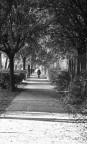 autunno autunno