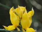 Macro Macro