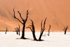 Dead vlei, 3