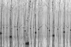 Novembre 2014