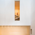 MoMa MoMa