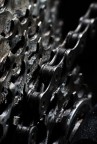 Contest 84 - Macro senza insetti