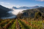 My valley My valley