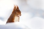 e tu saresti un fotografo?......ma dai, non farmi ridere ... e tu saresti un fotografo?......ma dai, non farmi ridere ...