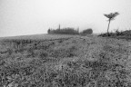 Ecco l'inverno
