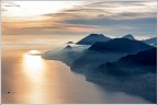 L'oro di Sal�