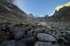 ...ma ancora un saluto a Grandes Jorasses e compagnia.
Dalla morena del Fraboudze (Val ferret italiana, gruppo del Bianco), con samyang 14 mm.
