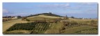 Paesaggio collinare!!! Paesaggio collinare!!!