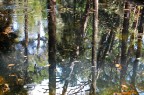 Riflessi