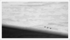Tre anime nell'immensit� del bianco.
f/11, 1/1000, 70mm.