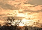 Il cielo Il cielo