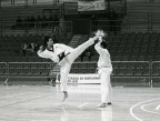 Teakwondo Teakwondo