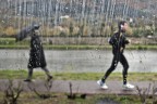 in the rain
