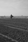 Surfista che inizia Surfista che inizia