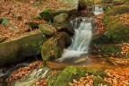 Autunno Autunno