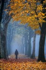la mattina presto con i suoi amici.. la mattina presto con i suoi amici..