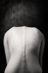 Dark
