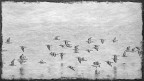 Un volo pieno di insidie Un volo pieno di insidie
