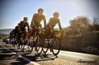 BDC|TrainIng BDC|TrainIng