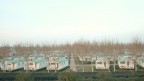 Villaggio Barricata presso Bonelli, delta del Po Villaggio Barricata presso Bonelli, delta del Po