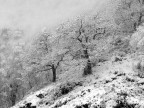 Inverno... Inverno...