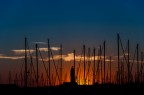 Notte d'incanto