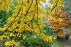 Autunno 2 Autunno 2