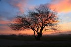 tramonto con vento... tramonto con vento...