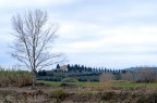 Grosseto, Fattoria di Poggio Cavallo Grosseto, Fattoria di Poggio Cavallo